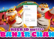 GILA! Baru Main Udah Dapat 35 Juta dari Tiger Gacor!