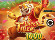 Cuan Deras di Lucky Tiger 1000