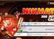 Strategi Menang Piggy Gold: Rahasia Cuan Besar di BANDAR36