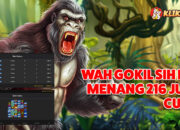 Buyspin Legacy Kong Klikhoki: Raih 216 Juta dari Modal 1,3 Juta