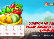 WD KLIKHOKI 198 Juta dari permainan Rujak Bonanza