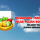 Lagi Hoki Banget! DODI7*** Sukses WD Rp40 Juta dari Rujak Bonanza di KLIKHOKI