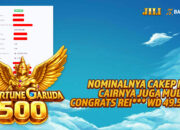 Kemenangan Garuda di BANDAR36, REI*** WD Rp49,5 juta di Fortune Garuda 500 JILI